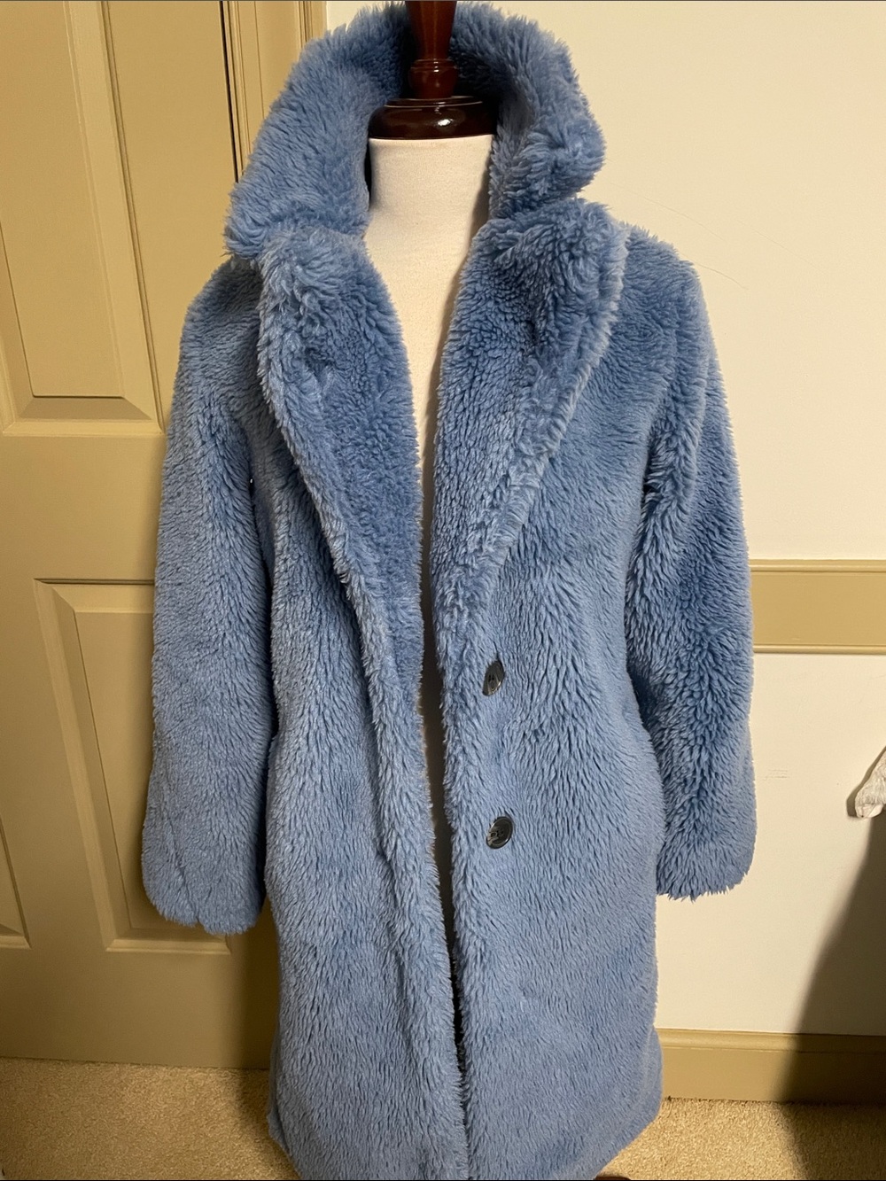 Urban Outfitters Blue Teddy Coat